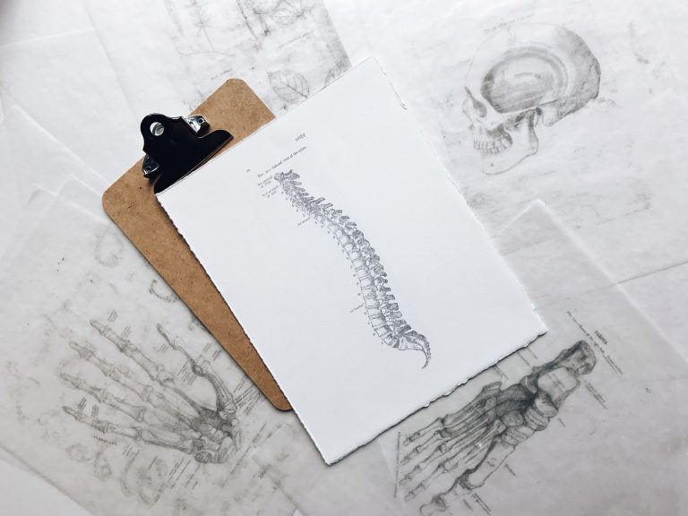 illustration of a spine